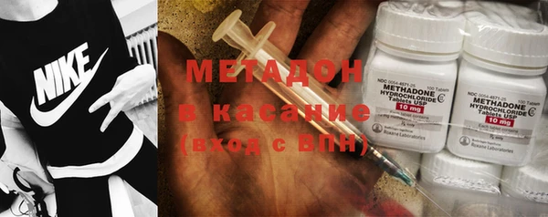 шишки Арсеньев