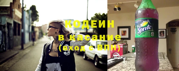 шишки Арсеньев