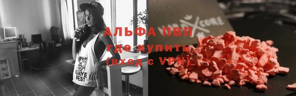шишки Арсеньев