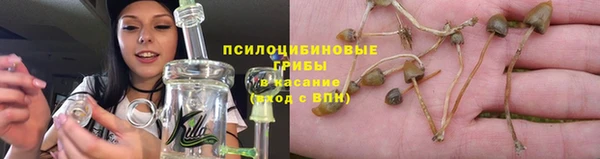 2c-b Балахна