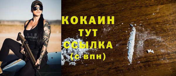 шишки Арсеньев