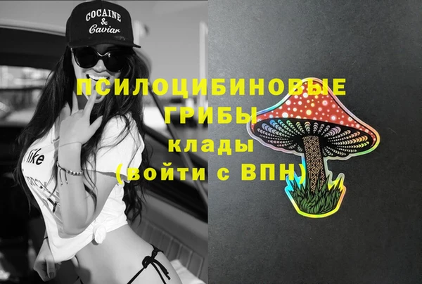 тгк Армянск