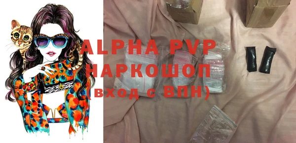 шишки Арсеньев