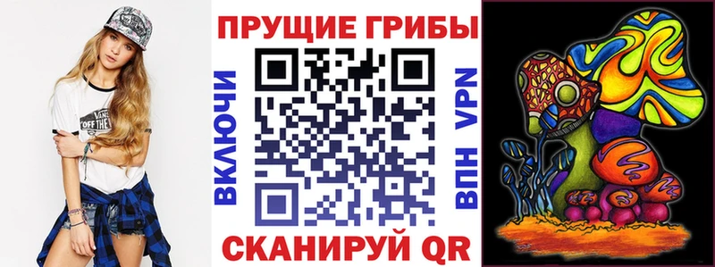 Псилоцибиновые грибы мицелий Волгоград